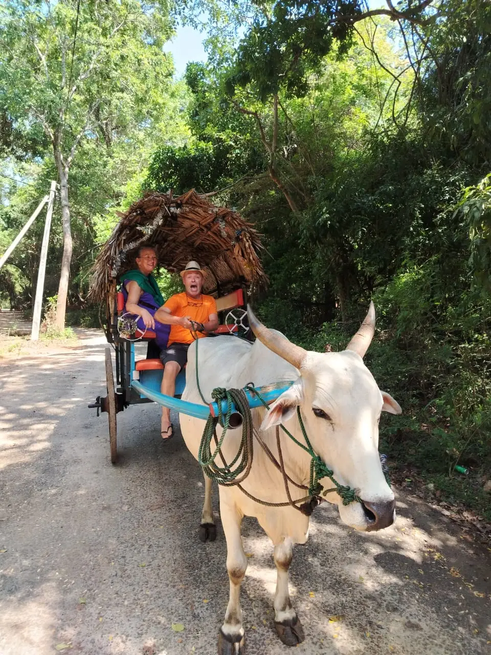 WhatsApp Image 2026-02-10 at 17.38.00 (1)