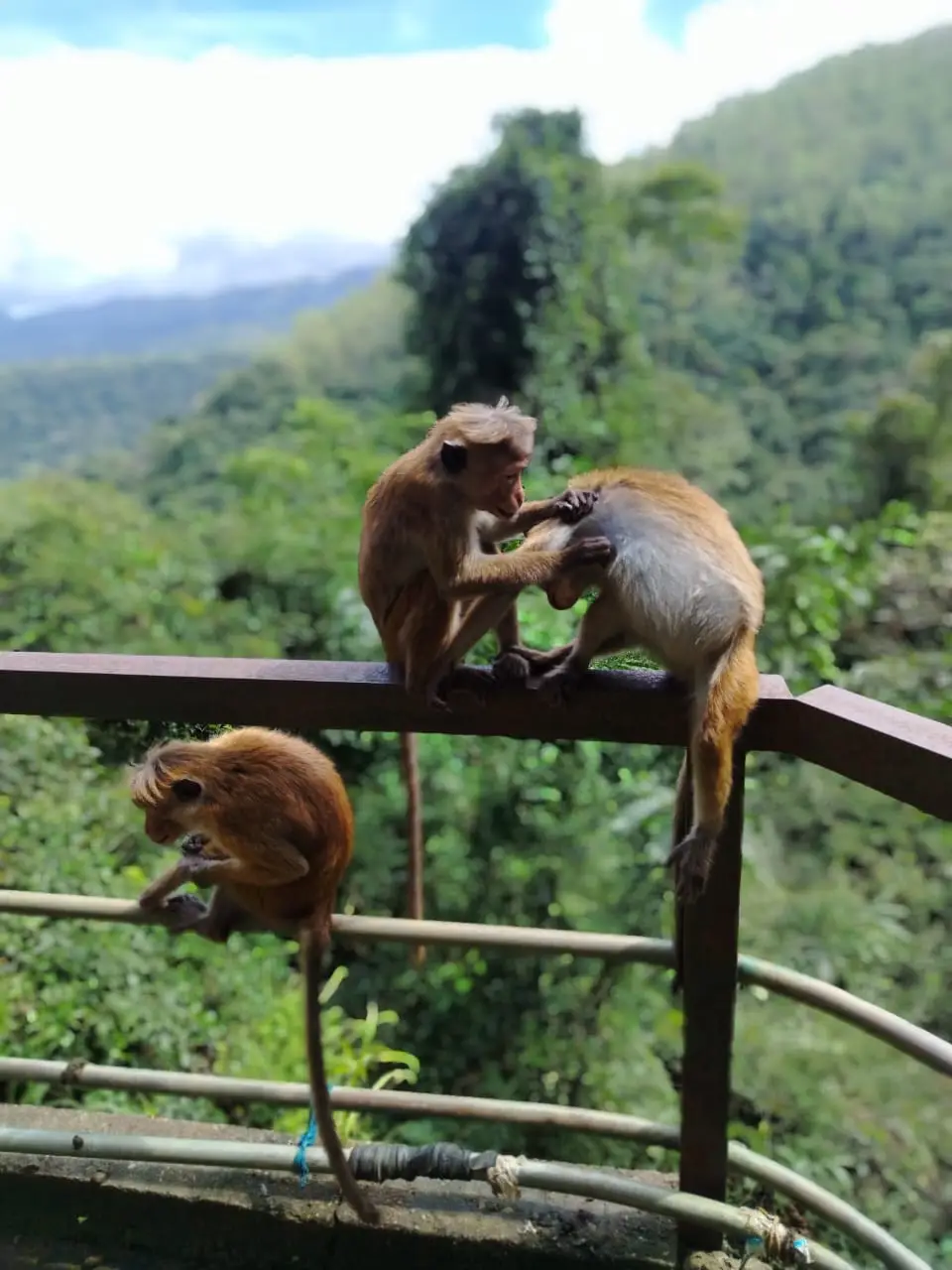 WhatsApp Image 2026-02-21 at 13.07.42